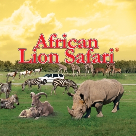 African Lion Safari